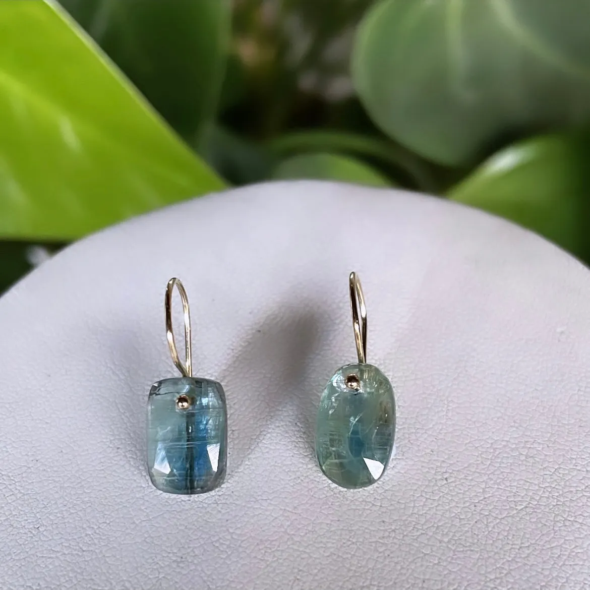 Petite rectangle oval bicolor kyanite earrings