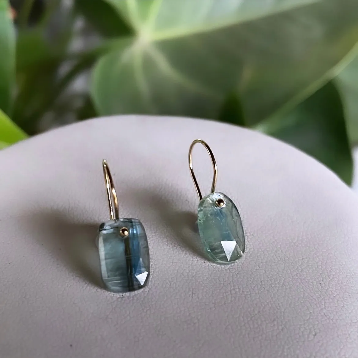 Petite rectangle oval bicolor kyanite earrings