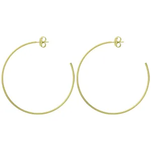 Shiny Jillian Hoops