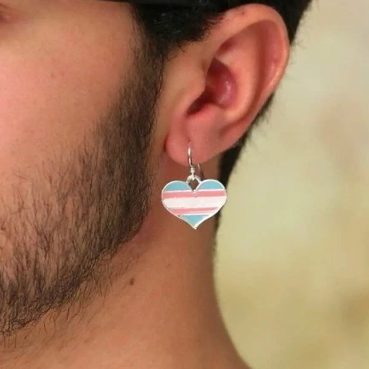 Transgender Flag Silver Plated Heart Earrings